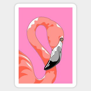 Pink Flamingo Sticker